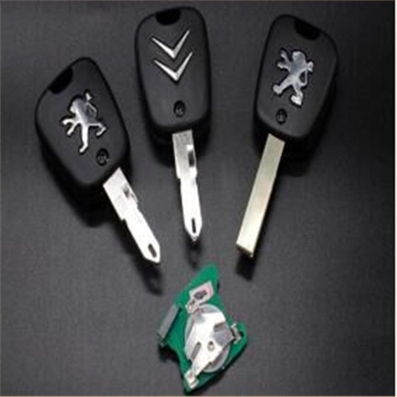 QQ圖片20190829115322