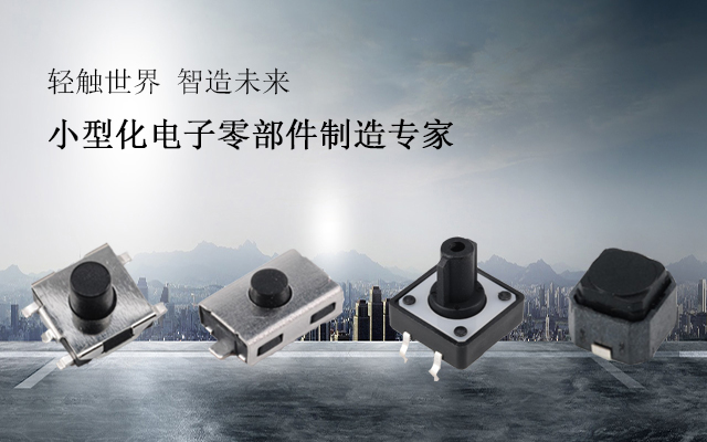 港源電子輕觸開(kāi)關(guān)生產(chǎn)研發(fā)廠家