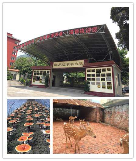 輕觸開關(guān)，輕觸開關(guān)廠家