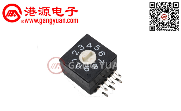 RS系列撥碼開關(guān)